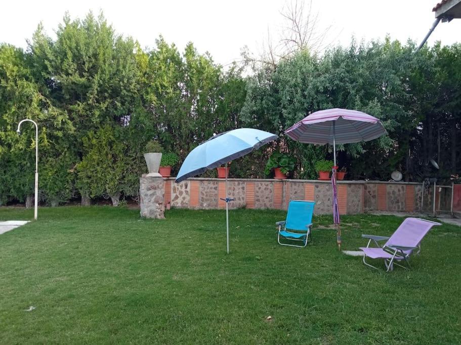 Villa Finca Denunez à La Mata  Extérieur photo